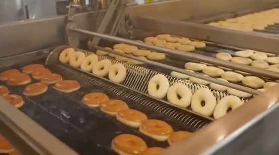 comprare Alta linea di produzione della ciambella di automazione con il sistema di rivestimento della pasta modulare fabbricazione online